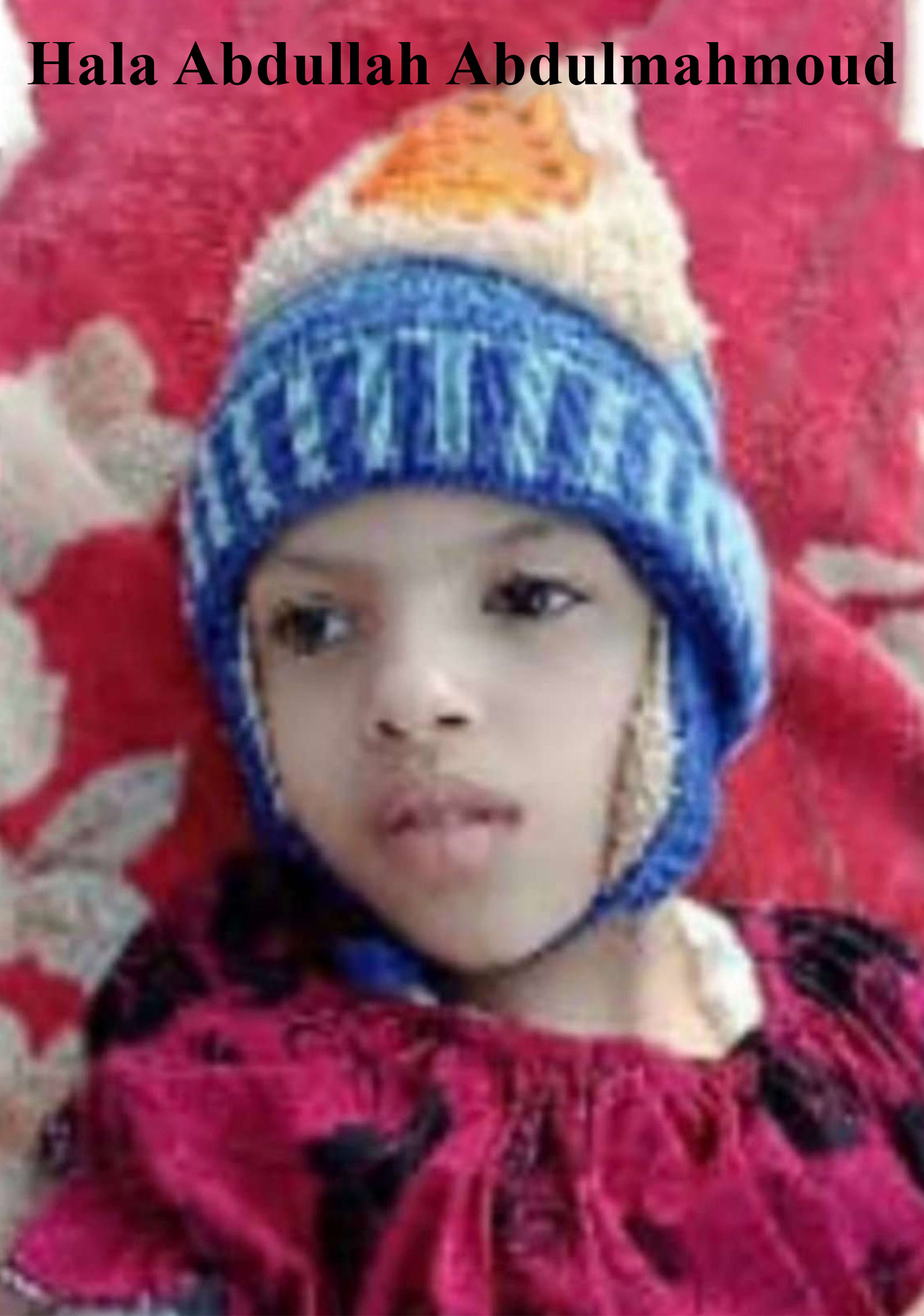 Hala Abdullah Abdulmahmoud Suleiman